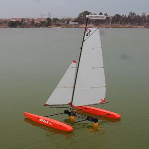 Ninja1000 - MultiONE Catamaran