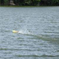 Barracuda - FSR 3.5 Racer