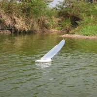 Siri 65 - RG65 Yacht