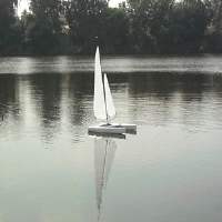 Venom - Mini40 Catamaran