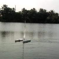 Venom - Mini40 Catamaran