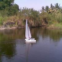 Venom - Mini40 Catamaran